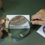 Associazione Menabò. Laboratorio in aula